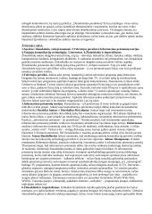 Sociologijos konspektas 17 puslapis