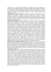 Sociologijos konspektas 3 puslapis