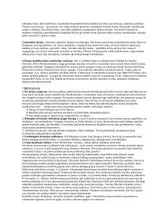 Sociologijos konspektas 7 puslapis