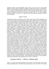 Lietuvos istorijos sisteminis darbas 3 puslapis