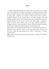 Prekybos įmonės pirkėjų aptarnavimas 2 puslapis