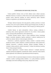 Pardavimo organizavimo esmė 5 puslapis