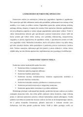 Pardavimo organizavimo esmė 6 puslapis