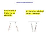 Įelektrinimo reiškiniai 13 puslapis