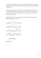Stovinčioji banga 11 puslapis