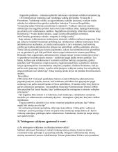 Lietuvos Respublikos (LR) Konstitucijoje esančio valdžių padalijimo principo samprata 2 puslapis