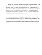 Lyties vaidmenų raiška meno kūriniuose. Lyčių psichologijos namų darbas 2 puslapis