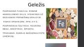 Metalai žmogaus organizme. Skaidrės 4 puslapis