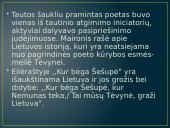 Maironis. Meilė tėvynei ir jos istorija 3 puslapis