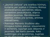 Maironis. Meilė tėvynei ir jos istorija 6 puslapis