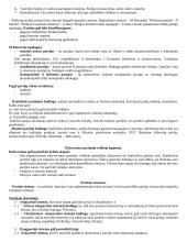 Lyginamoji konstitucinė teisė - teorija 11 puslapis