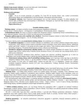 Lyginamoji konstitucinė teisė - teorija 15 puslapis