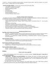 Lyginamoji konstitucinė teisė - teorija 8 puslapis