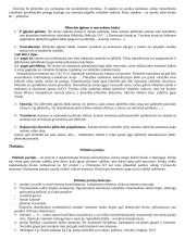 Lyginamoji konstitucinė teisė - teorija 10 puslapis