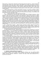 Lyginamosios konstitucinės teisės kurso teorija 19 puslapis