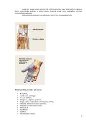 Ligonio mokymas sergant riešo tuneliniu sindromu 3 puslapis