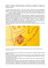 Ligonio mokymas sergant riešo tuneliniu sindromu 6 puslapis