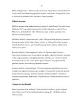 Mada ir jos tendencijos 17 puslapis