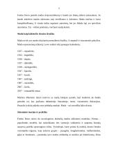 Mada ir jos tendencijos 5 puslapis