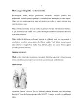 Mada ir jos tendencijos 7 puslapis