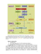Maistinių riebalų išgavimas, rafinavimas, modifikavimas ir stabilizavimas 2 puslapis
