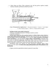 Maistinių riebalų išgavimas, rafinavimas, modifikavimas ir stabilizavimas 12 puslapis