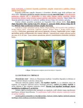 Maistinių riebalų išgavimas, rafinavimas, modifikavimas ir stabilizavimas 16 puslapis