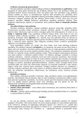 Mąstymas ir intelektas 2 puslapis