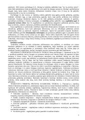 Mąstymas ir intelektas 3 puslapis
