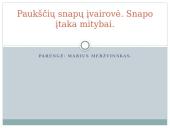 Paukščių snapų įvairovė