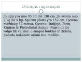 Paukščių snapų įvairovė 4 puslapis