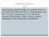 Paukščių snapų įvairovė 5 puslapis