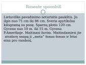 Paukščių snapų įvairovė 7 puslapis