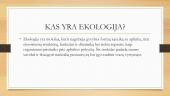 Ekologijos problemos. Skaidrės 2 puslapis