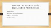 Ekologijos problemos. Skaidrės 3 puslapis