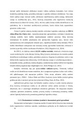 Birių krovinių terminalo darbo organizavimas 18 puslapis