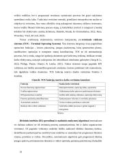 Birių krovinių terminalo darbo organizavimas 19 puslapis