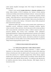 Birių krovinių terminalo darbo organizavimas 9 puslapis