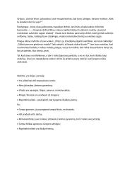 Tėvo Zamzos analizė 2 puslapis