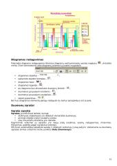 Microsoft Excel programa 13 puslapis