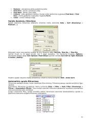 Microsoft Excel programa 15 puslapis