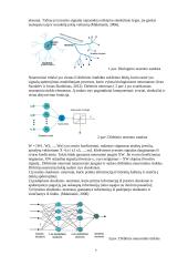 Dirbtinis intelektas kaip teisės subjektas: utopija ar ateities perspektyva? 6 puslapis
