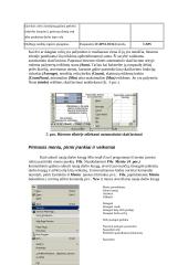 Microsoft Excel užduotis 4 puslapis