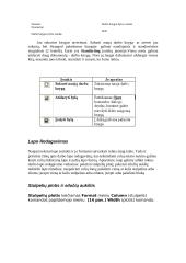 Microsoft Excel užduotis 5 puslapis