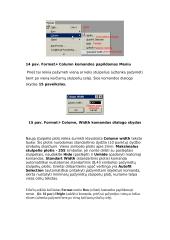 Microsoft Excel užduotis 6 puslapis