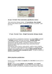 Microsoft Excel užduotis 7 puslapis