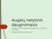Augalų nelytinis dauginimasis