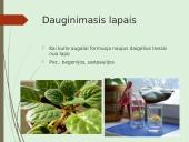 Augalų nelytinis dauginimasis 17 puslapis