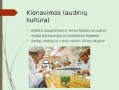 Augalų nelytinis dauginimasis 19 puslapis