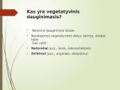 Augalų nelytinis dauginimasis 4 puslapis